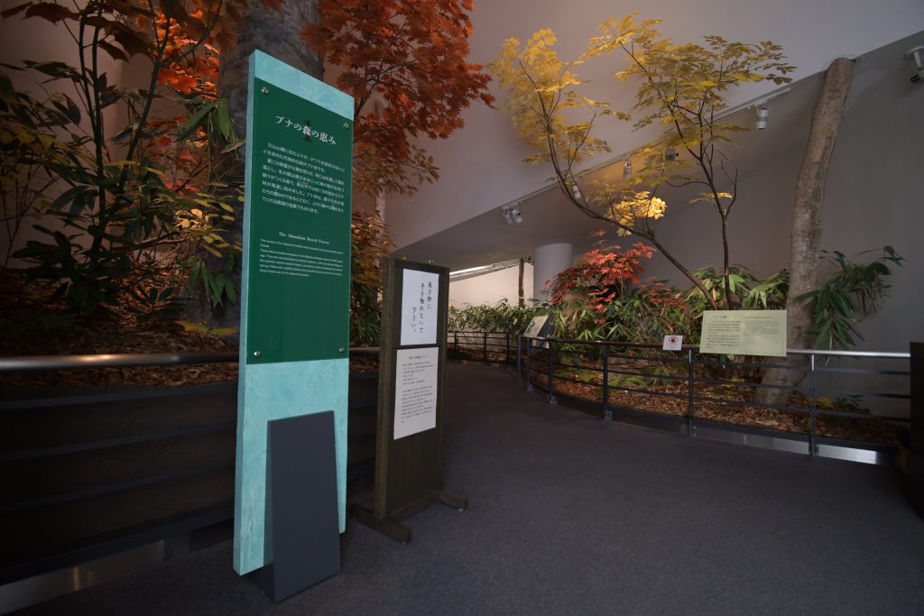 ゾーンサイン「ブナの森の恵み」