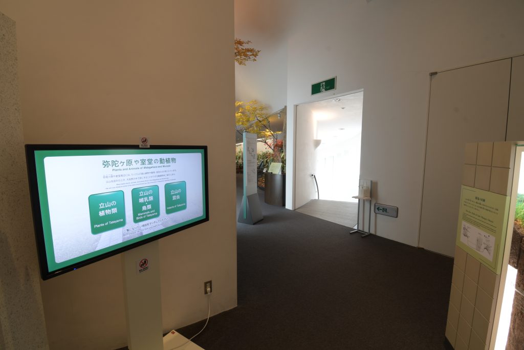 タッチパネルディスプレイ「弥陀ヶ原と室堂周辺で観察できる動植物」