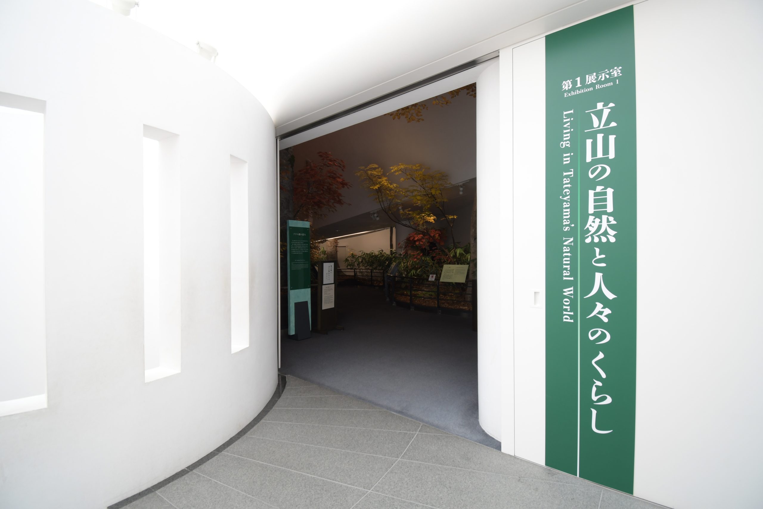 GW特別解説会